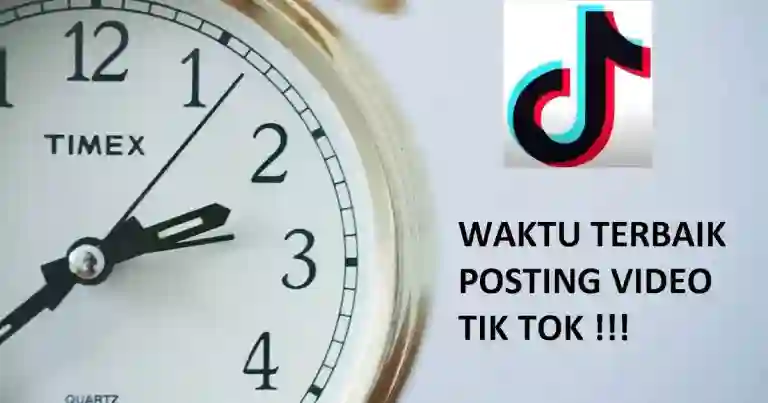 caras jualan di tiktok