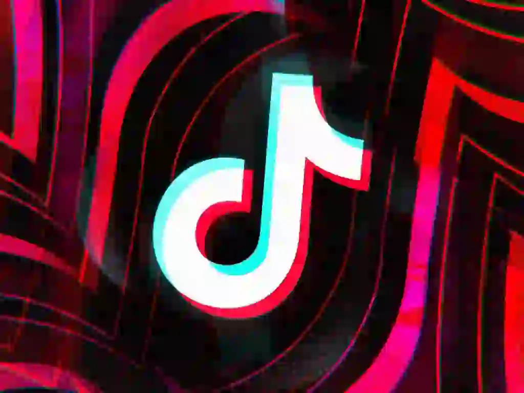 belajar buat tiktok untuk pemula